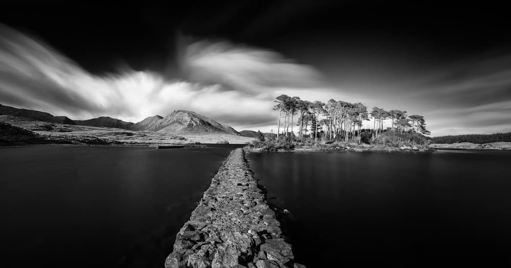 Connemara Pine Island by Thomas Siegel — canvas wall art