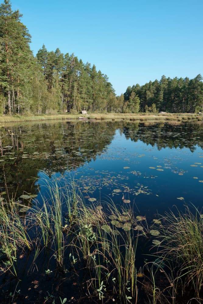 Tranquil Forest Lake by Geertjan Plooijer — canvas wall art