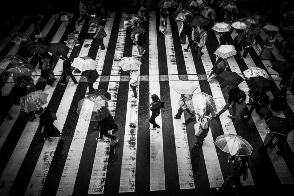 Urban Rain Crossing by Haruyo Sakamoto — canvas wall art