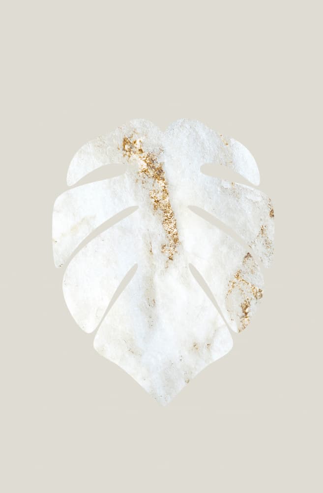 Golden Marble Monstera by Anne-Marie Volfova — canvas wall art