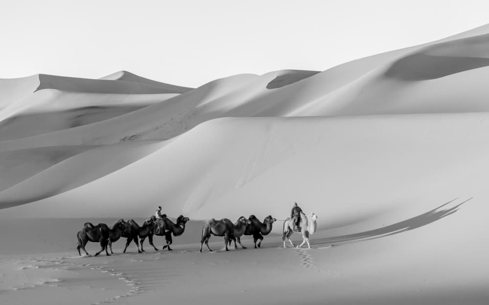 Desert Camel Caravan by ADIREK M — canvas wall art
