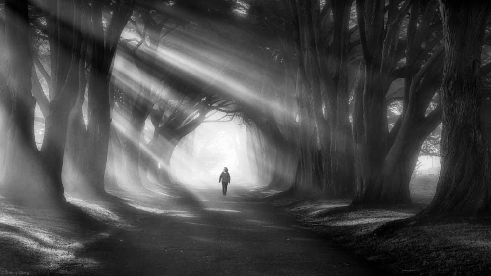 Path Of Light by Johnny Zhang — canvas wall art