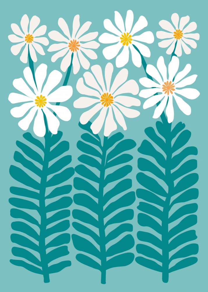 Daisy Floral by Kristian Gallagher — canvas wall art
