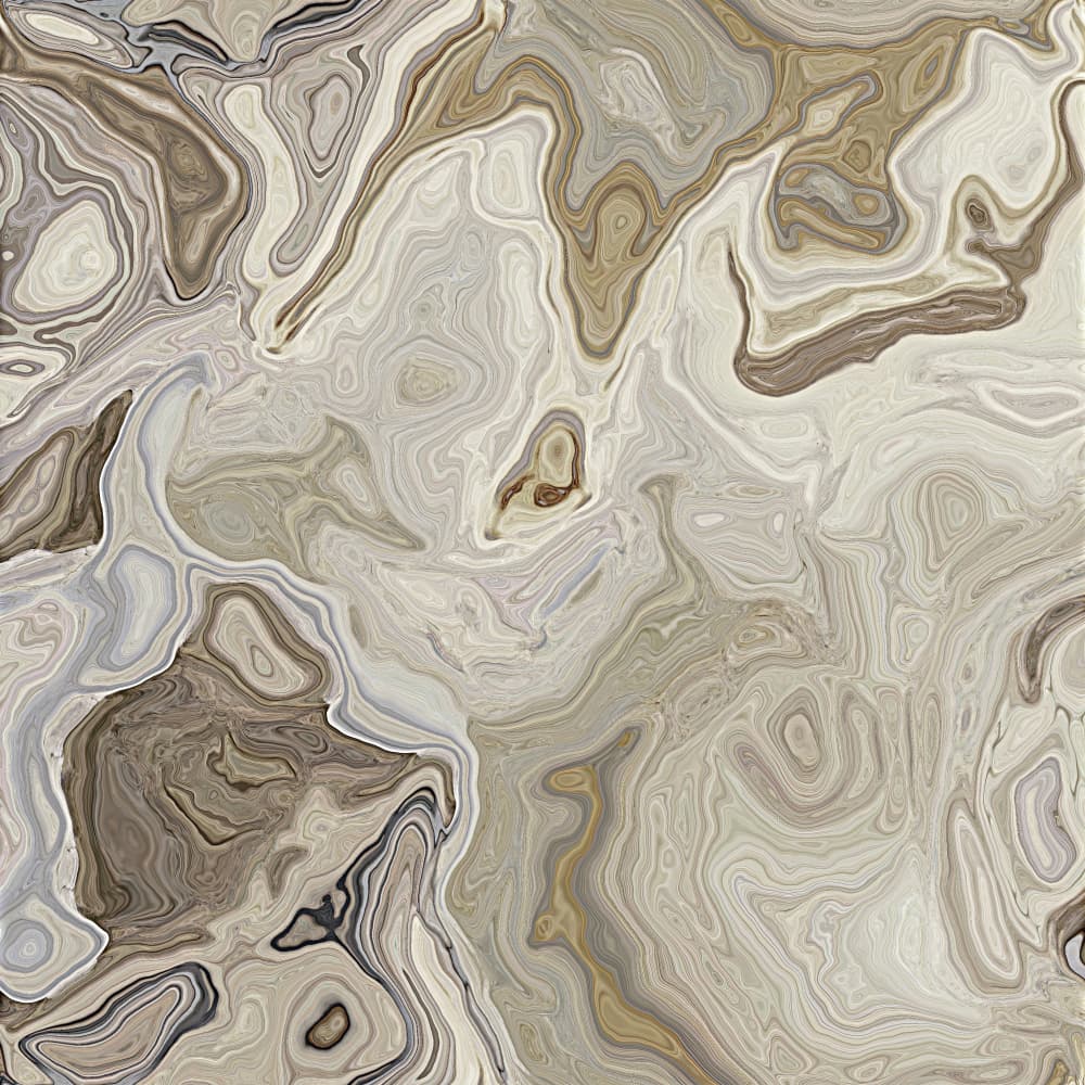 Neutral Organic Swirls by Alpenglow Workshop — canvas wall art