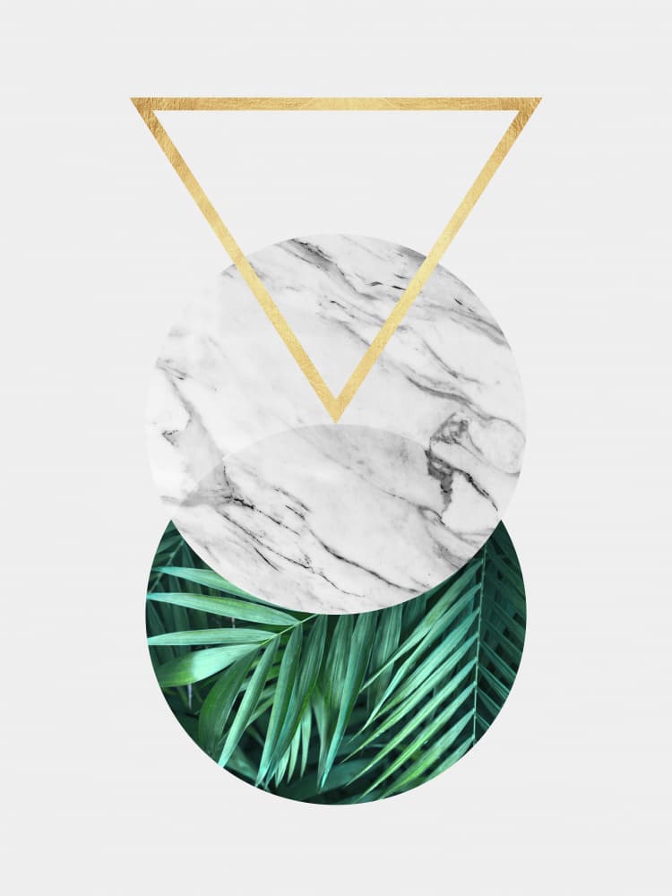 Elegant Geometric Nature by Vitor Costa — canvas wall art