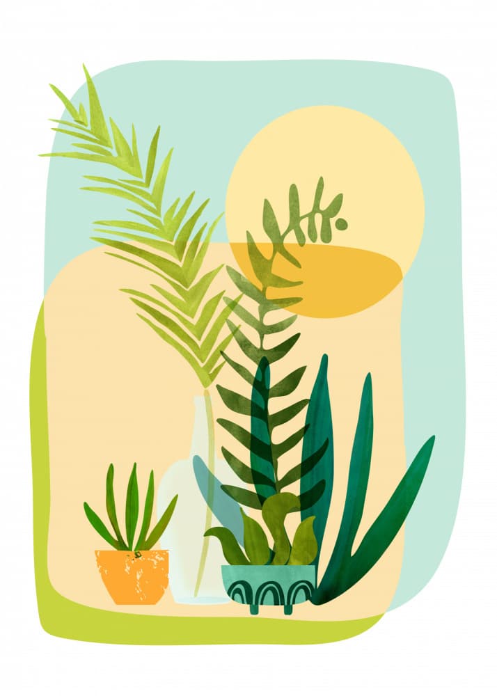 Whimsical Spring Garden by Kristian Gallagher — canvas wall art