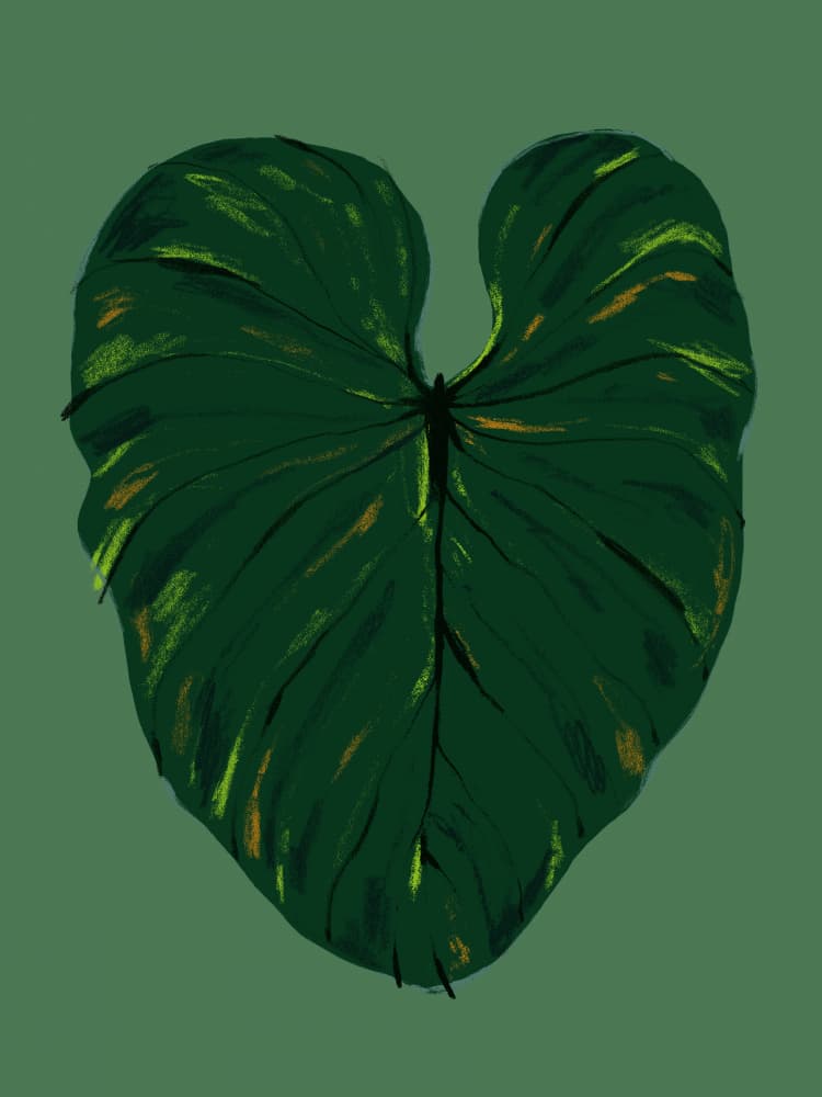 Dark Green Tropical Leaf by Francesco Gulina — canvas wall art