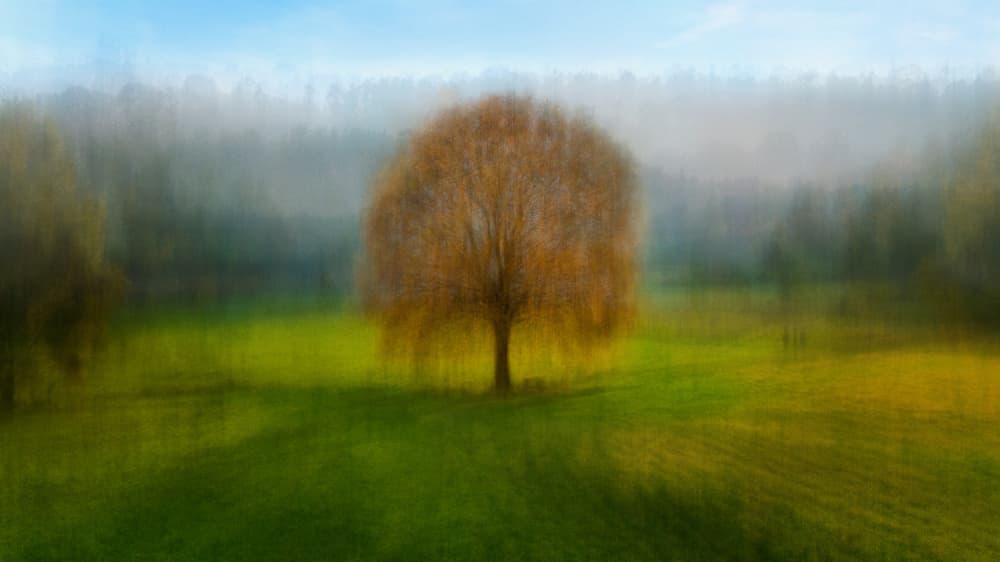 Autumn Tree Dream by Fiorenzo Carozzi — canvas wall art