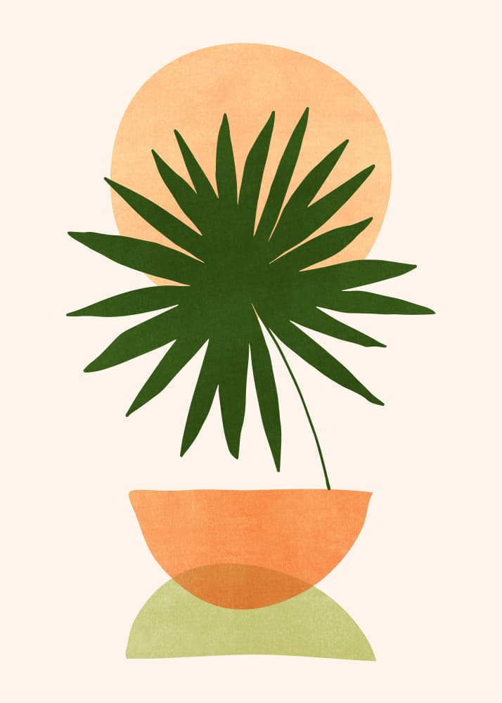 Islands In the Sun 2 by Kristian Gallagher — canvas wall art