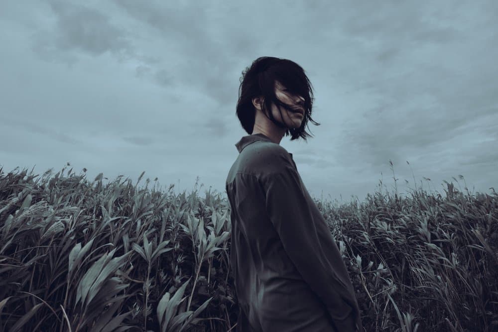 Pensive Soul Windswept Field by Midoriselfphoto — canvas wall art