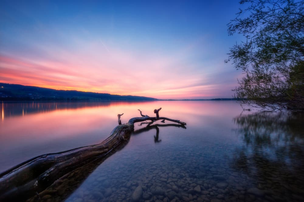 Fallen Branch Lake Sunset by Burim Muqa — canvas wall art