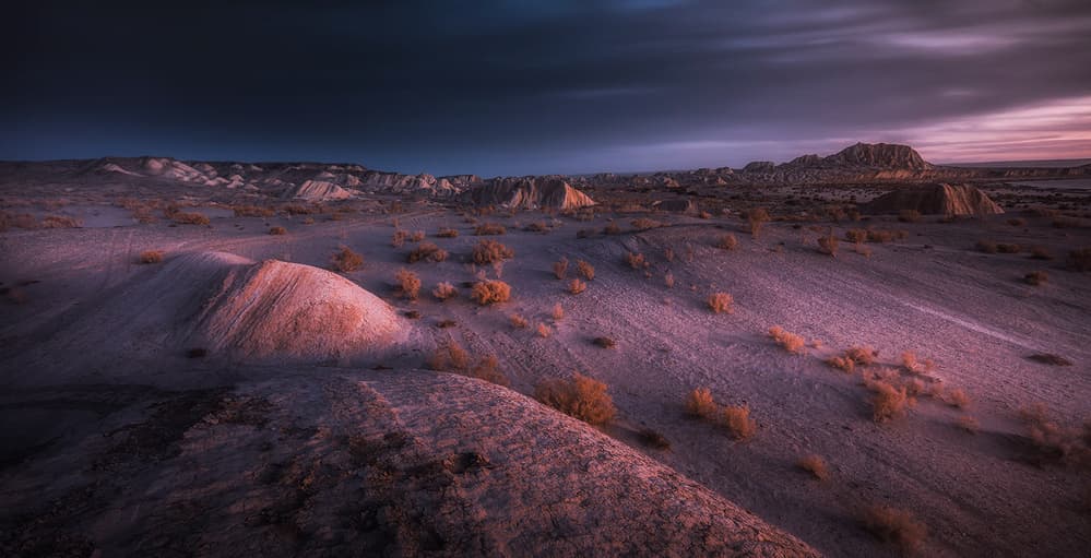 Purple Desert Twilight by TIANQI — canvas wall art
