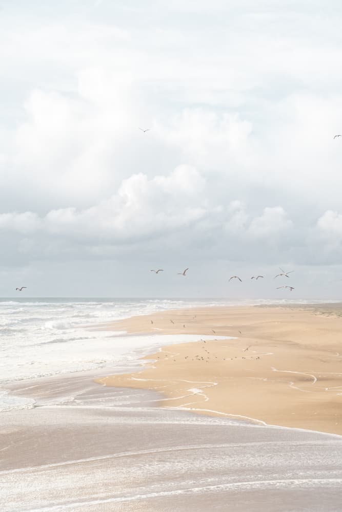 Serene Beach Flight by Henrike Schenk — canvas wall art