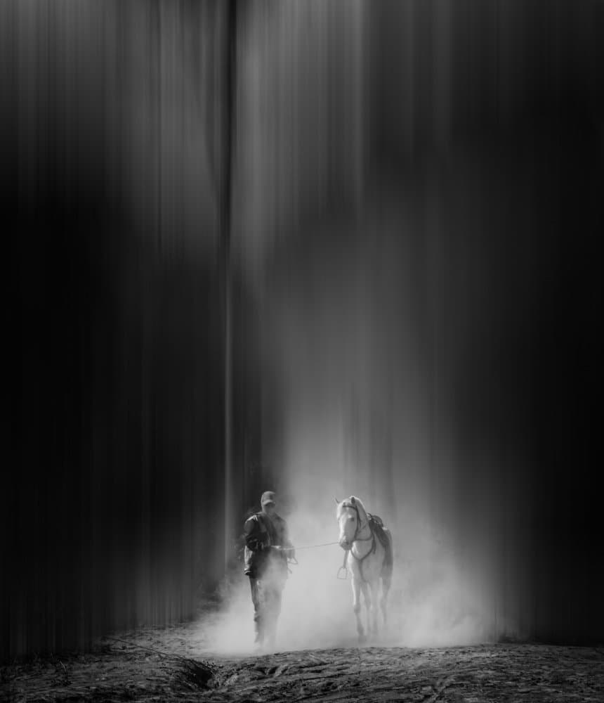 Misty Horse Journey by Prasad Malgaonkar — canvas wall art