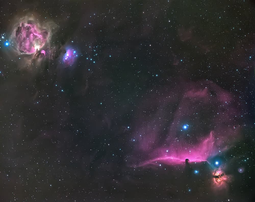 Orion Nebula and The Horsehead by Andrea Auf dem Brinke — canvas wall art