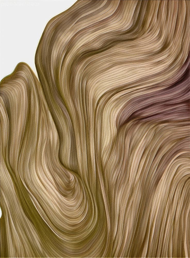 Subtle Fluid Curves by Alma — canvas wall art