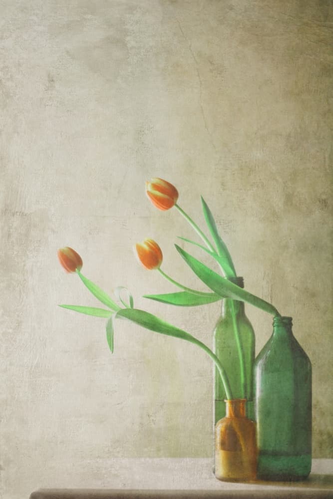 Orange Tulips in Bottles by Delphine Devos — canvas wall art