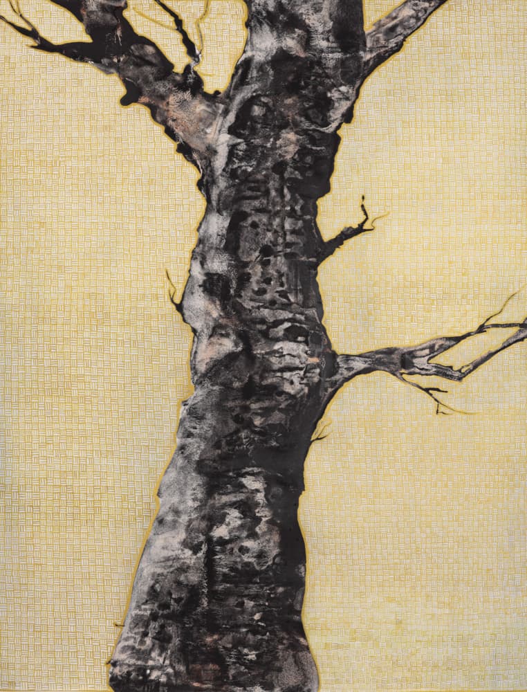 Striking Bare Tree by Alex Walsh — canvas wall art