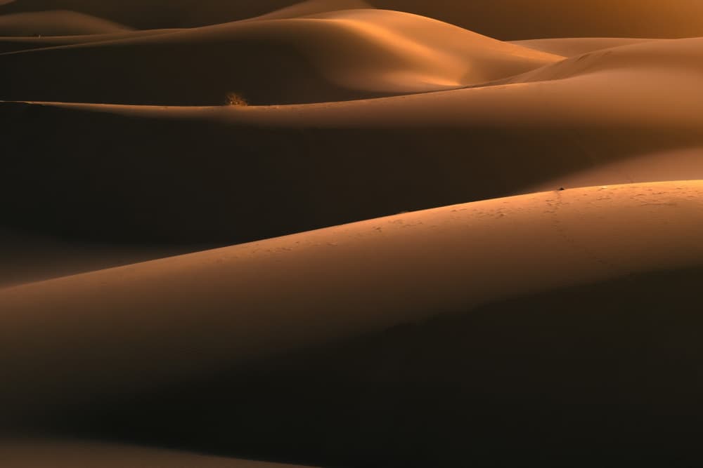 Golden Desert Dunes by Reza Mohammadi — canvas wall art