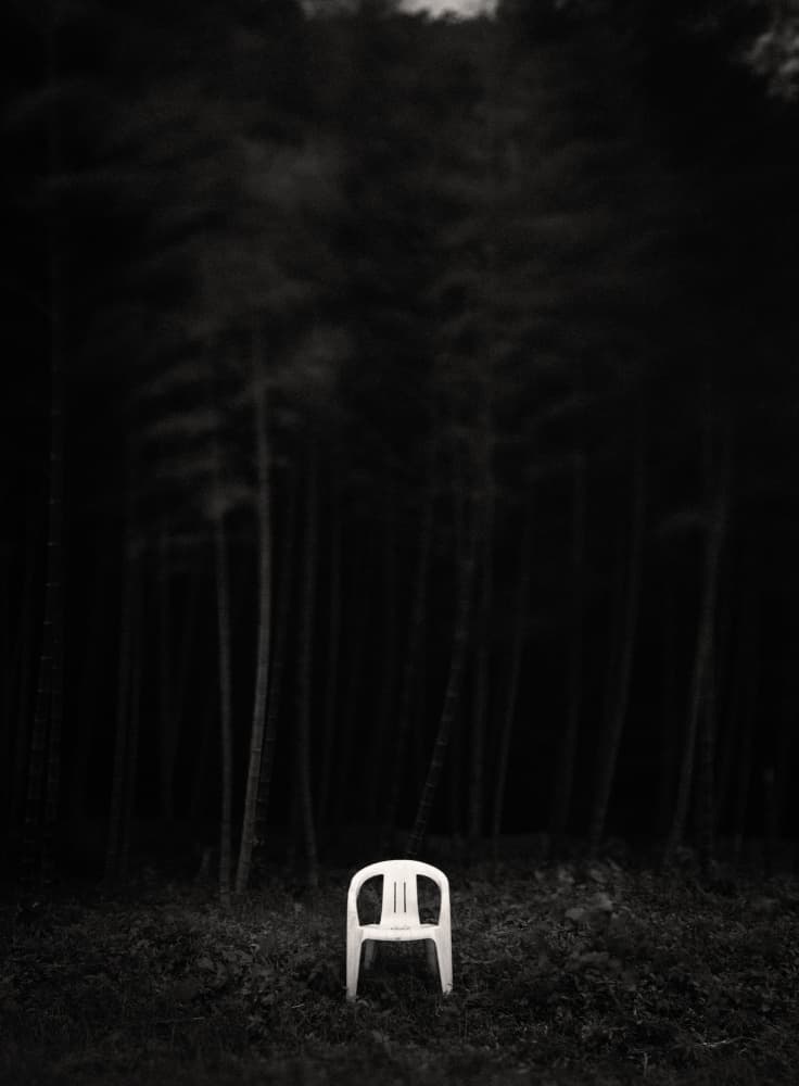 Solitary White Chair Forest by Sunao Isotani — canvas wall art