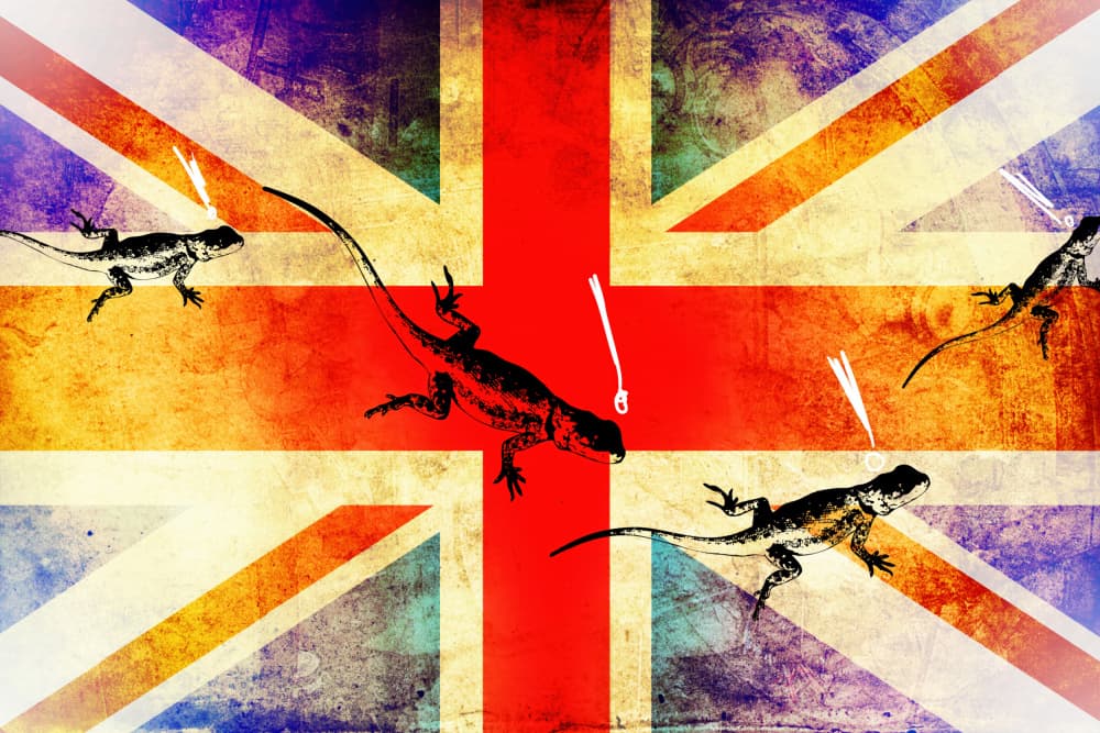 Union Jack Lizards Grunge by Rafal Kulik — canvas wall art
