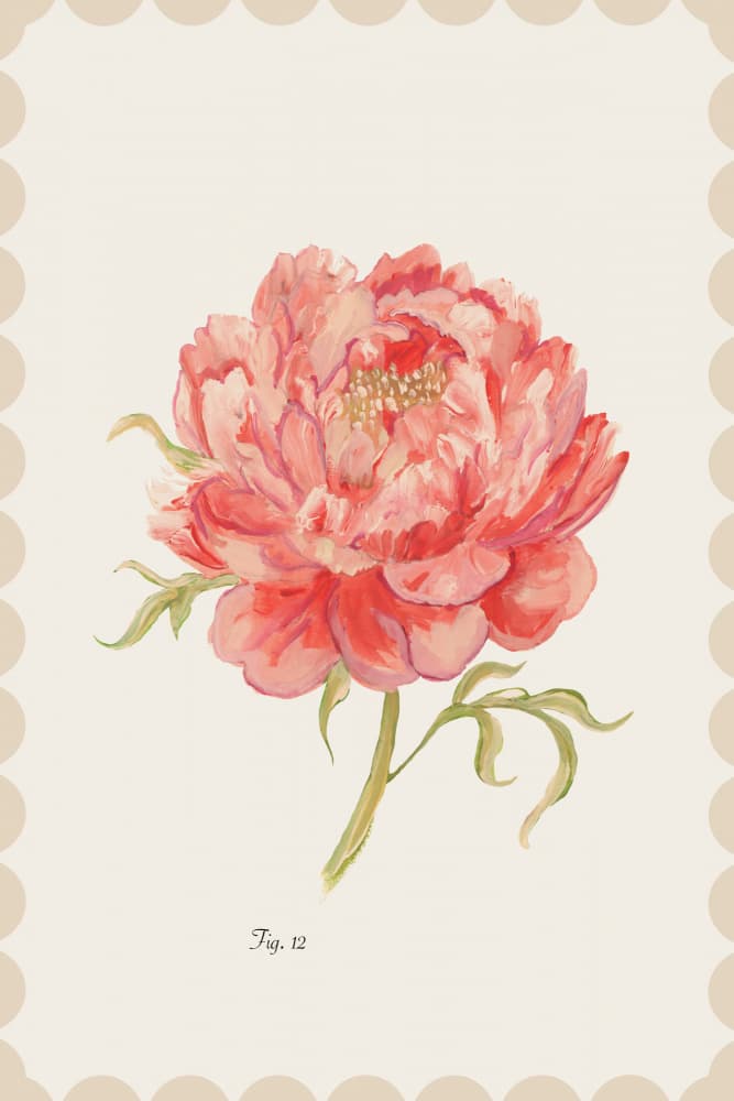 Vintage Pink Peony by cartissi — canvas wall art