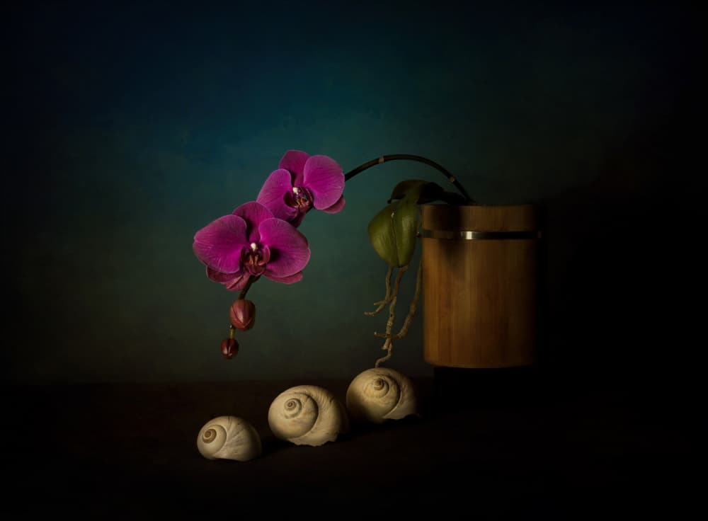 Purple Orchids Still Life by John-Mei Zhong — canvas wall art