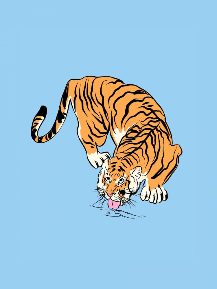 Thirsty Tiger by Little Dean — canvas wall art