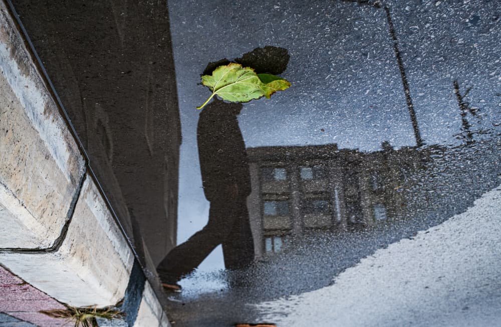 Rainy City Reflection by Ali Ayer — canvas wall art
