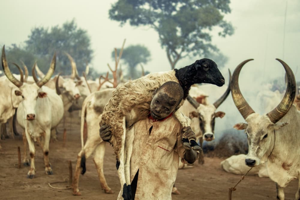 African Herder and Lamb by Svetlin Yosifov — canvas wall art