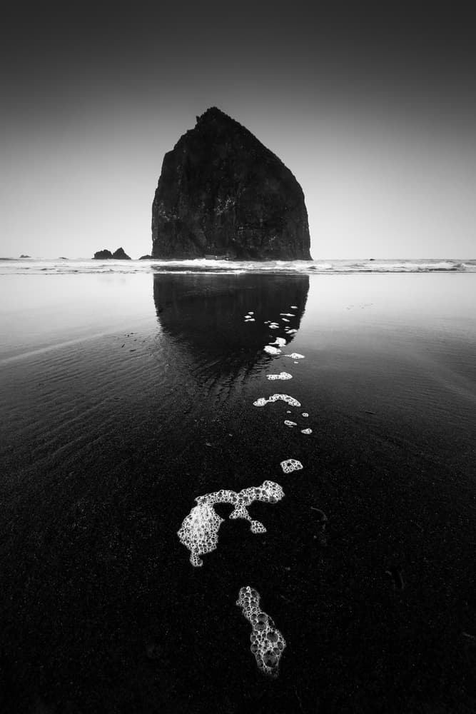 Haystack Rock Reflection by Tony Xu — canvas wall art