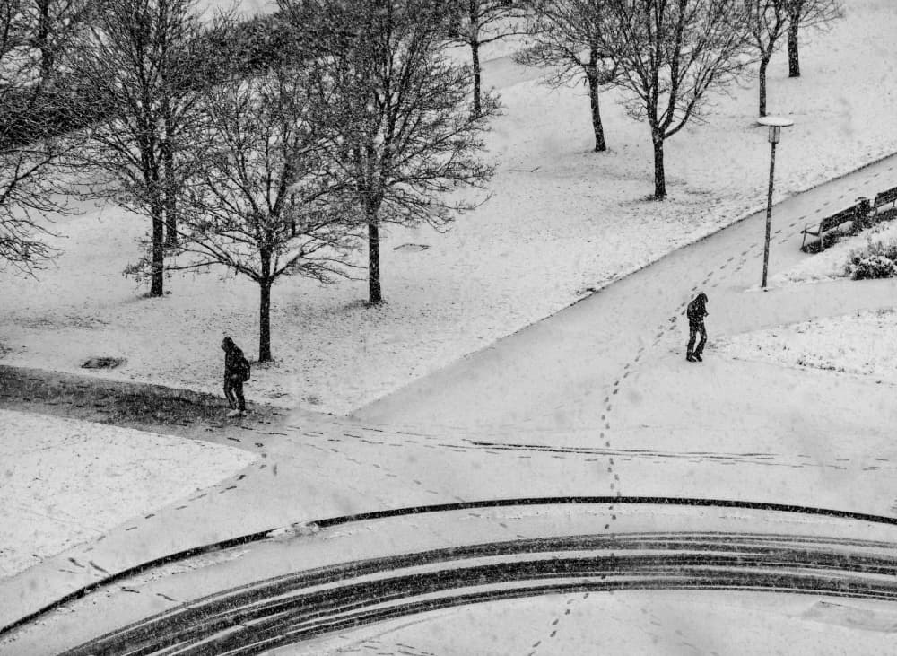 Monochrome Winter Walk by Adolfo Urrutia — canvas wall art