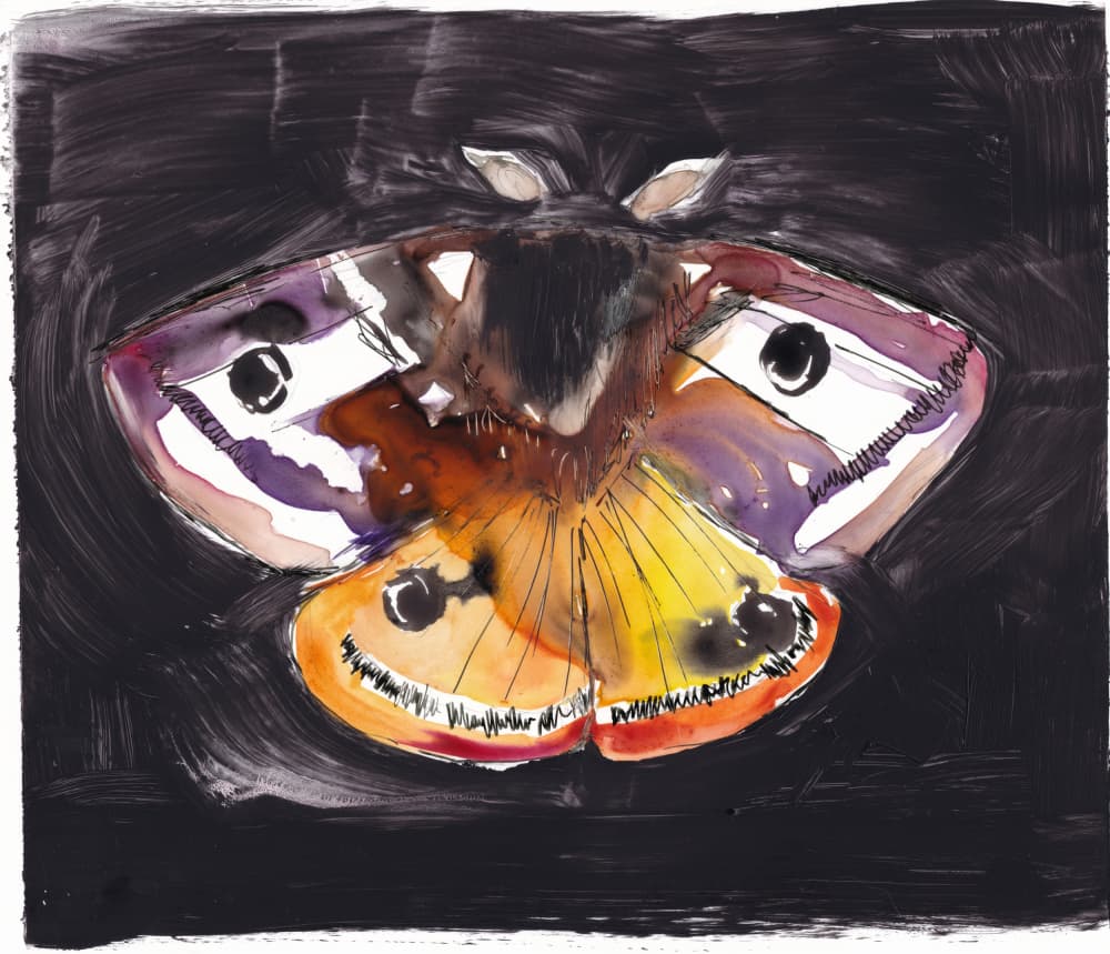 Colorful Night Moth by Christine Lindstrom — canvas wall art