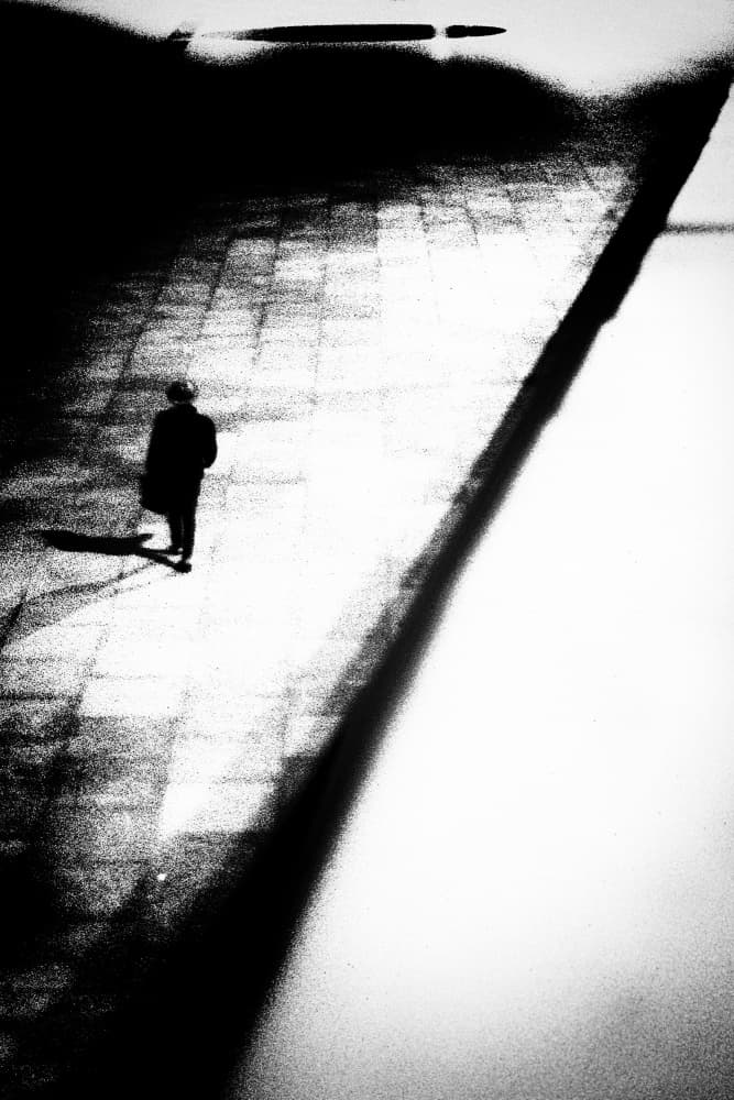 Dramatic Solitary Walk by Rui Correia — canvas wall art