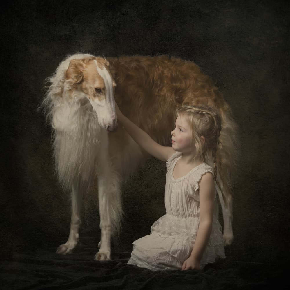 Young Girl And Borzoi by Carine Belzon — canvas wall art