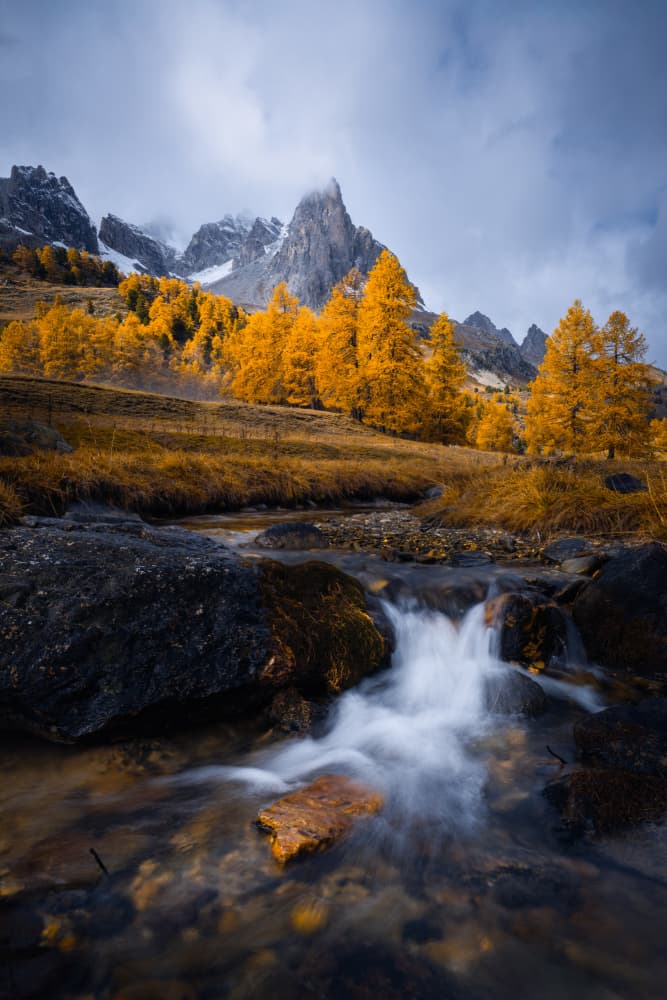 Golden Autumn Mountain Stream by Chuan Chen APA — canvas wall art