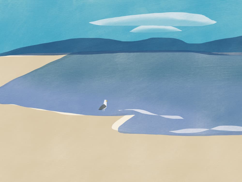 Solitary Seagull Beach by Little Dean — canvas wall art