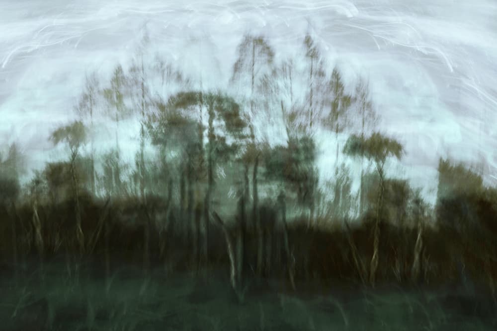 Misty Forest Dream by Christina Sillen — canvas wall art