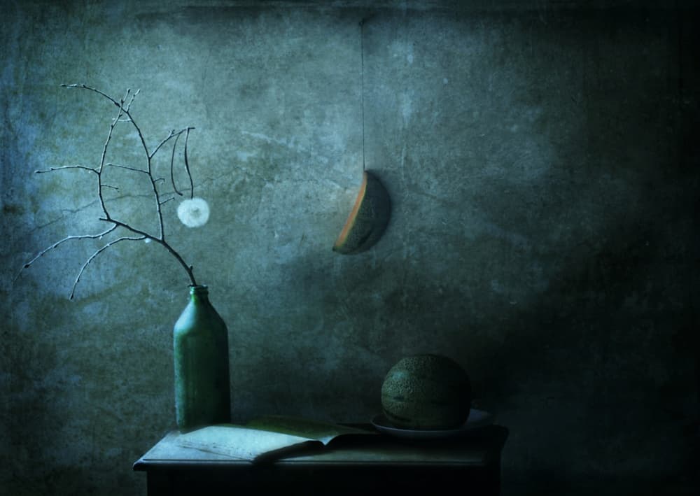Moonlit Still Life by Delphine Devos — canvas wall art