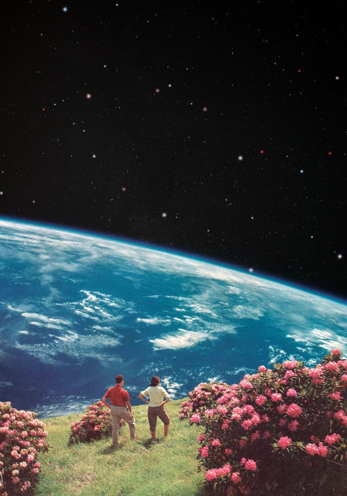 Couple's Cosmic Garden by Daniel Donocik — canvas wall art