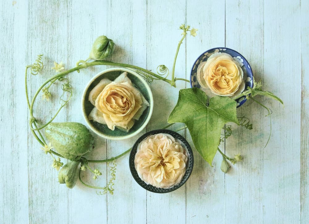 Pastel Roses Gourds by Fangping Zhou — canvas wall art