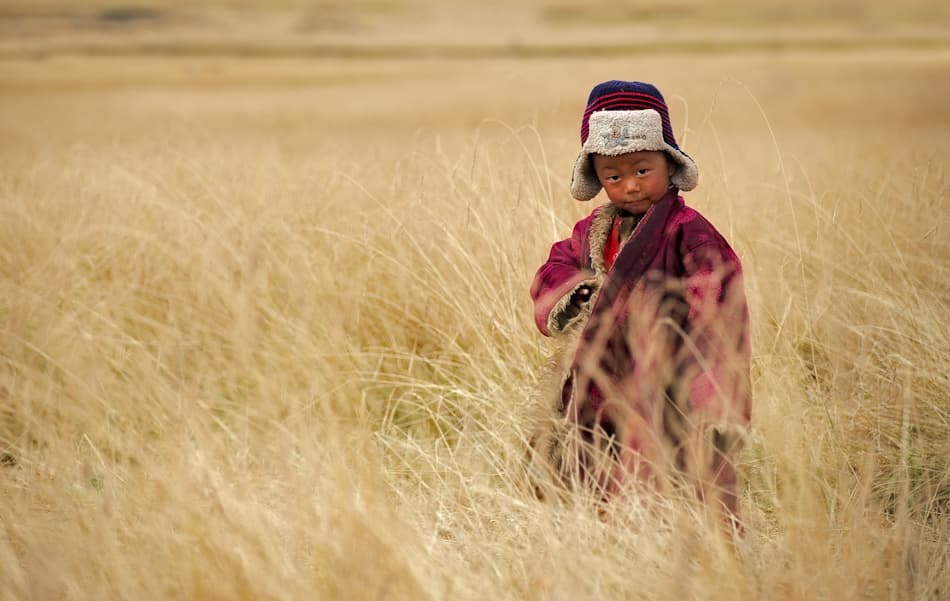 Young Child Golden Field by Nicolas Marino — canvas wall art