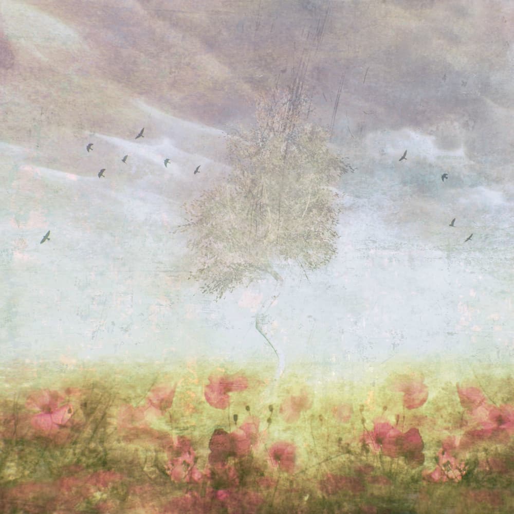 Dreamy Poppy Field Tree by Delphine Devos — canvas wall art