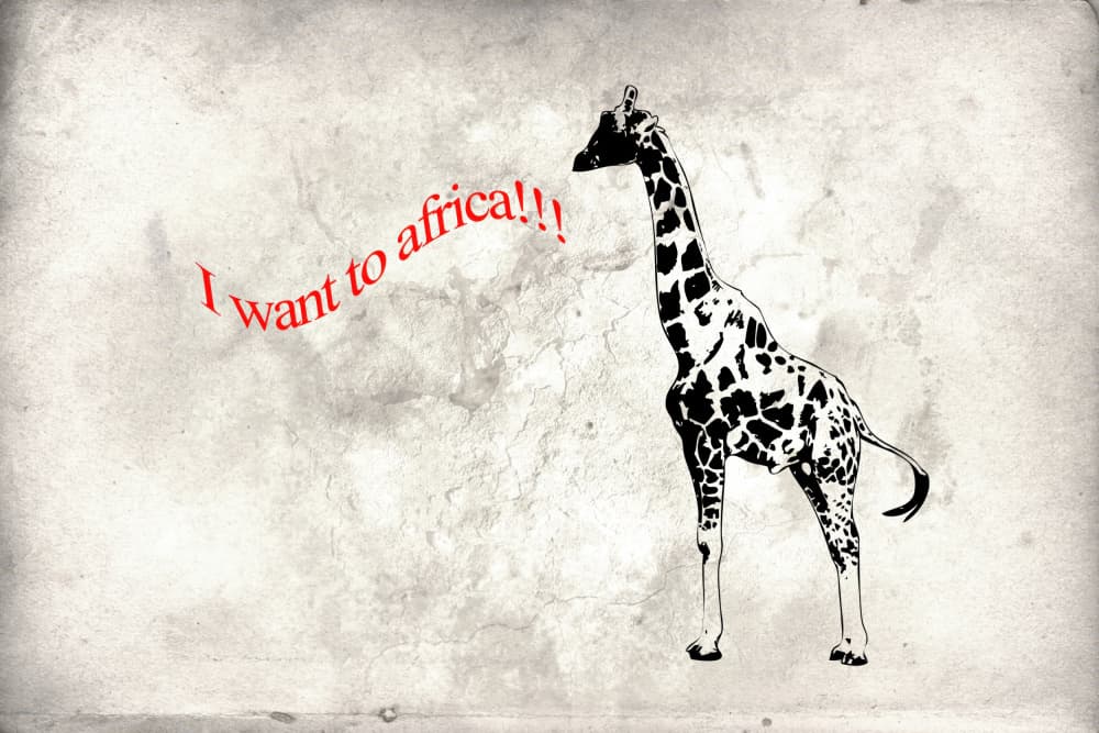 Giraffe Longs For Africa by Rafal Kulik — canvas wall art