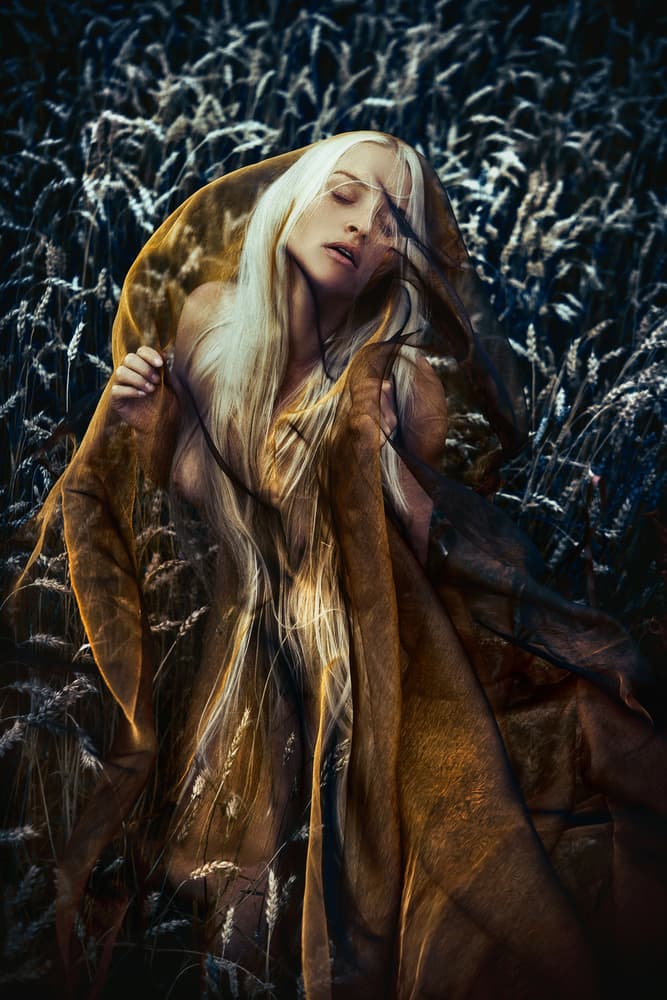 Golden Dream in Wheat Field by Ruslan Bolgov — canvas wall art