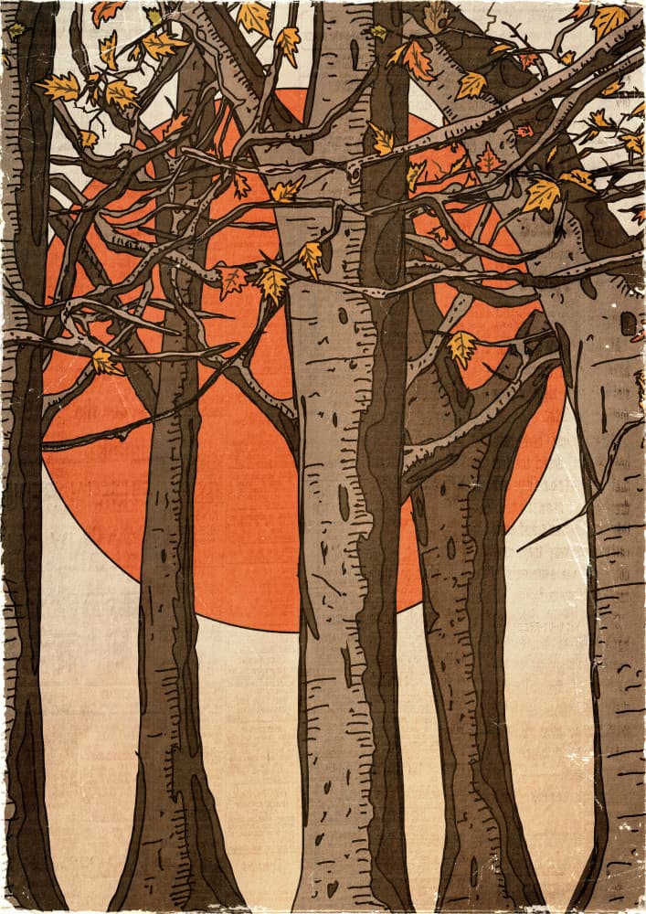 Autumn Forest Sunset by Nicholas — canvas wall art