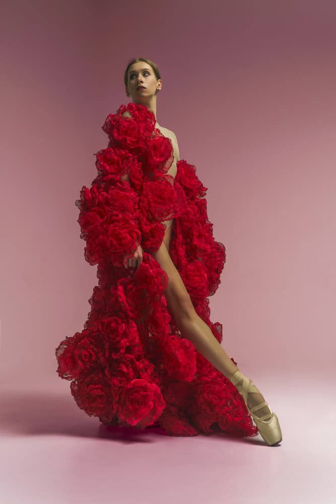 Red Ruffle Ballerina by Alexandr — canvas wall art