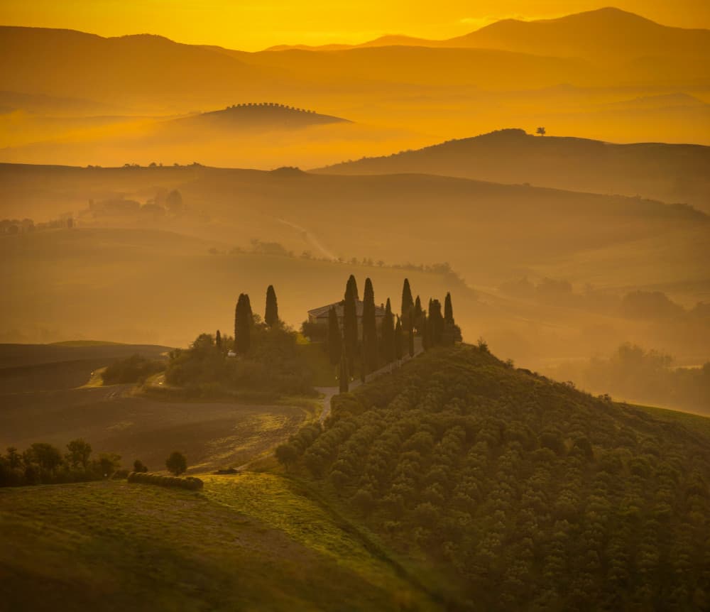Golden Tuscan Morning by Liz Fang — canvas wall art
