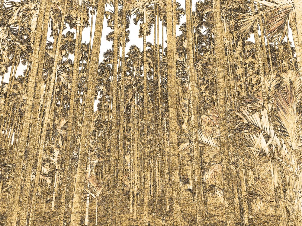 Stylized Tropical Forest by Santhosh ch — canvas wall art