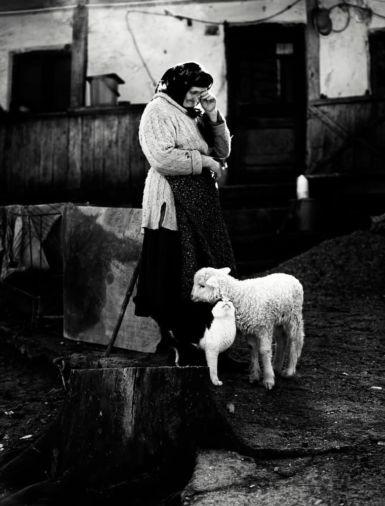 Rural Woman and Lambs by Julien Oncete — canvas wall art